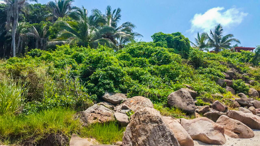 Litibu Lot The Mexico Land Catalog Development Land and Homesite